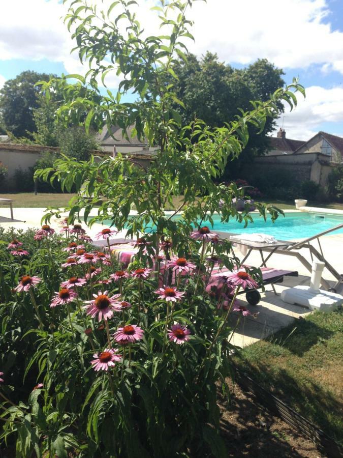 Les Couleurs Du Verger Beaumont-les-Autels Exterior foto